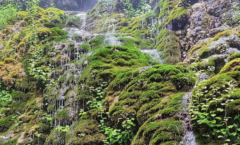 آبشار سیاسرت، جزو جاذبه های گردشگری رامسر