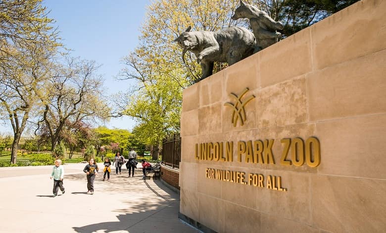 باغ وحش پارک Lincoln