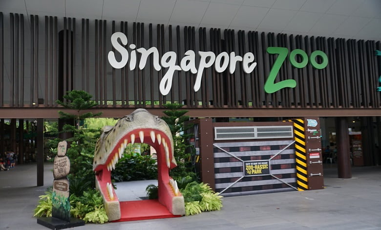 همه چیز درباره باغ وحش سنگاپور