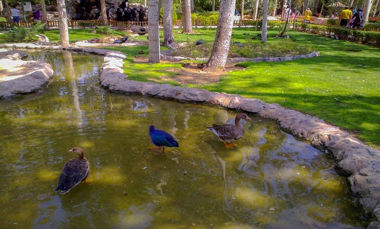 همه چیز درباره باغ پرندگان اصفهان