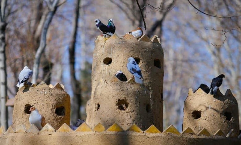 بخش صخره ها در باغ پرندگان اصفهان