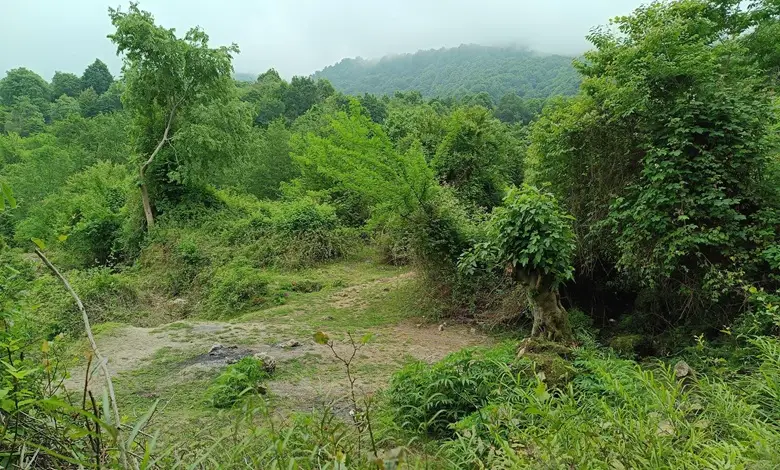 روستای چلندر