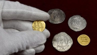مستندسازی 250 سکه ساسانی