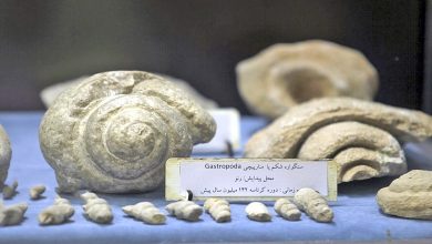 افتتاح موزه خصوصی سنگ و سنگواره ایلام