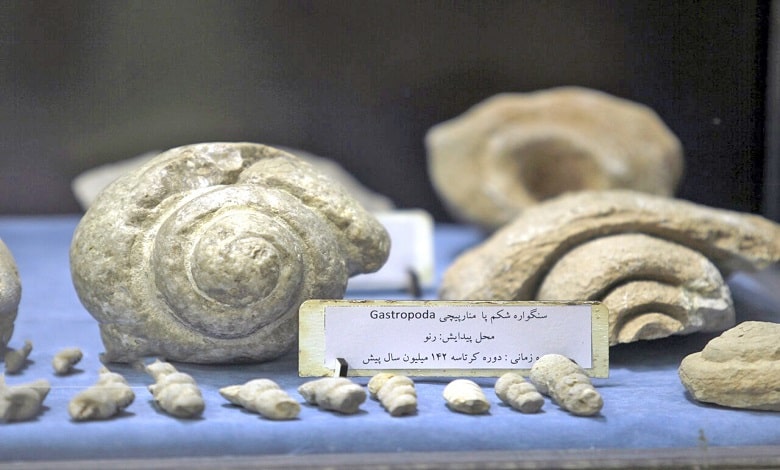 افتتاح موزه خصوصی سنگ و سنگواره ایلام