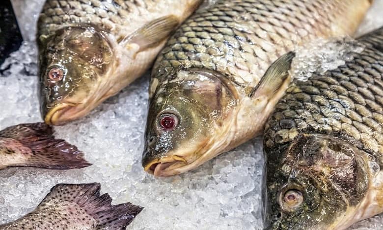 ماهی: جزو سوغات رامسر