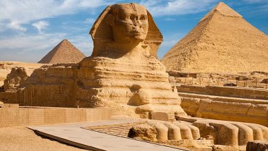برگزاری تورهای گردشگری مصر به کجا رسید؟