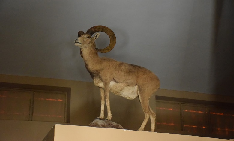 موزه پارک ملی بمو