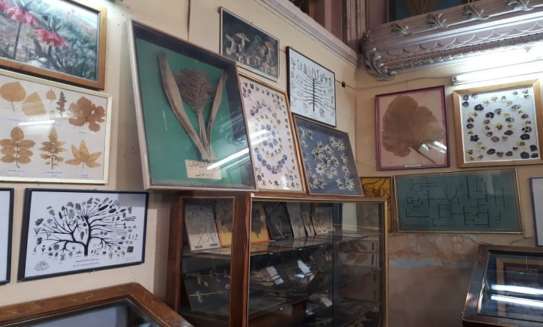 سالن گیاه شناسی موزه تاریخ طبیعی اصفهان