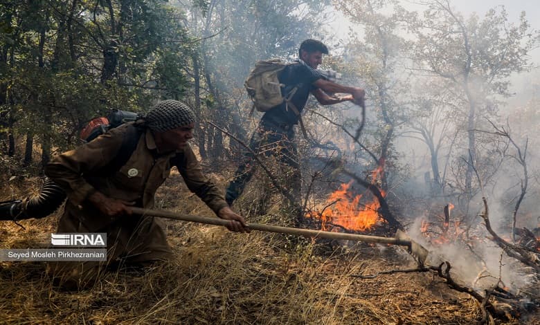 تلاش برای مهار آتش در جنگل های مریوان