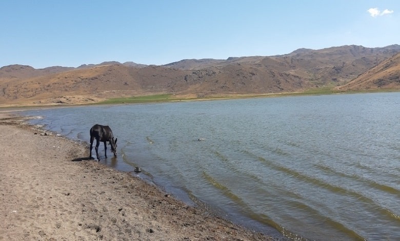سوارکاری در دریاچه نئور