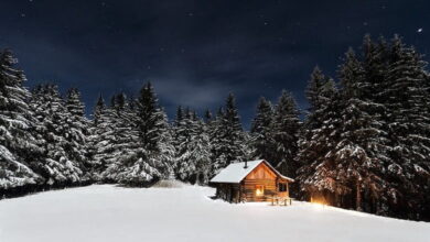 صحنه زیبای زمستانی