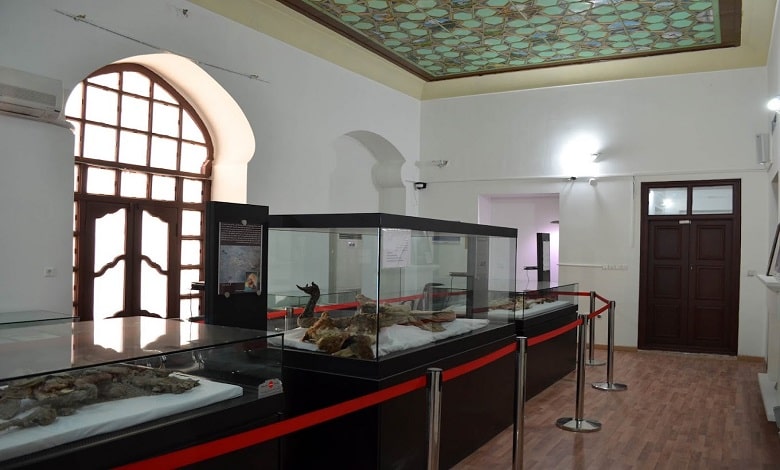 تاریخچه موزه باستان شناسی زنجان