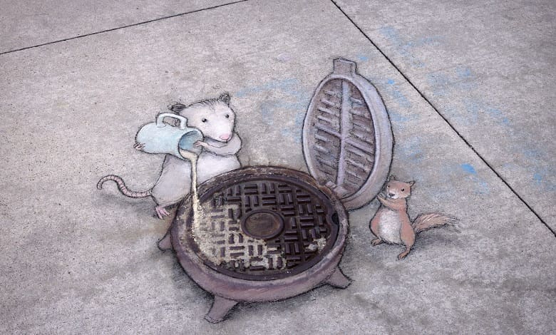 موش در حال درست کردن غذا