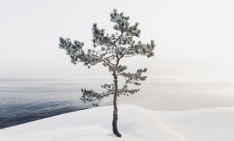 تنهایی زمستان از قاب دوربین Mikko Lagerstedt