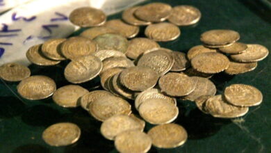 12 سکه تاریخی در پردیسان قم کشف شد