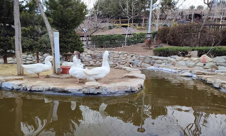 احداث باغ پرندگان و سرزمین برفی در شیراز