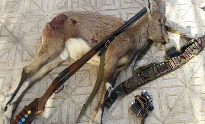 Deer-hunters-were-threatened-with-fines