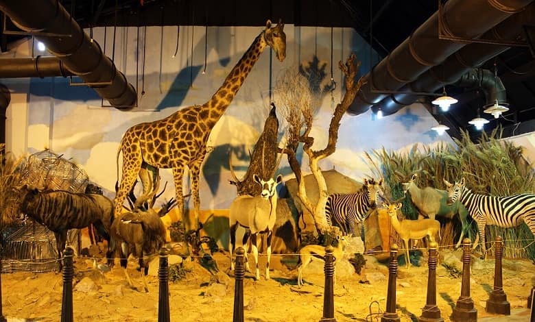 همه چیز درباره موزه حیات وحش دارآباد