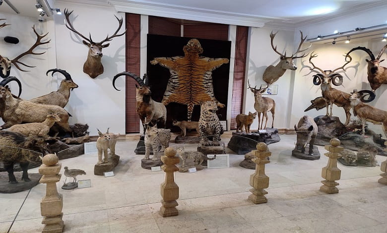 بخش های مختلف موزه حیات وحش دارآباد