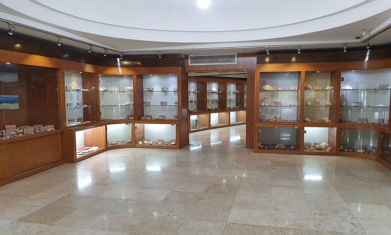 بخش زمین شناسی موزه حیات وحش دارآباد