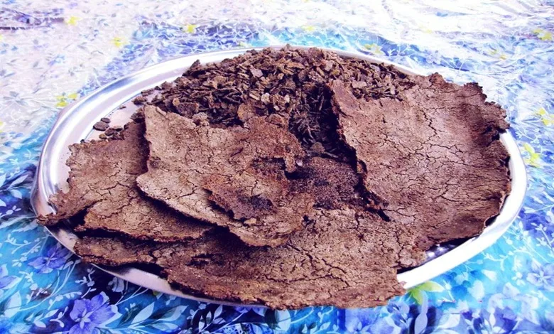 نان بلوط یاسوجی