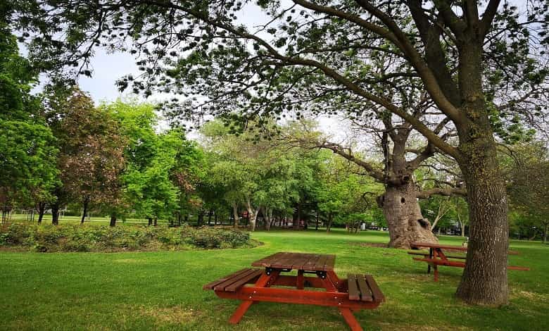 همه چیز درباره پارک جنگلی آتاتورک