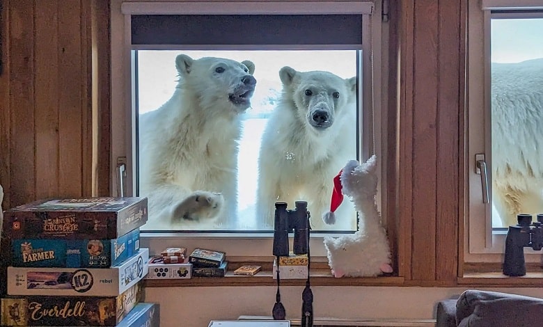 سلام کردن سه خرس قطبی به تیم هواشناس لهستانی
