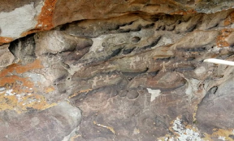 نقوش صخره ای جدید در ورزقان کشف شد
