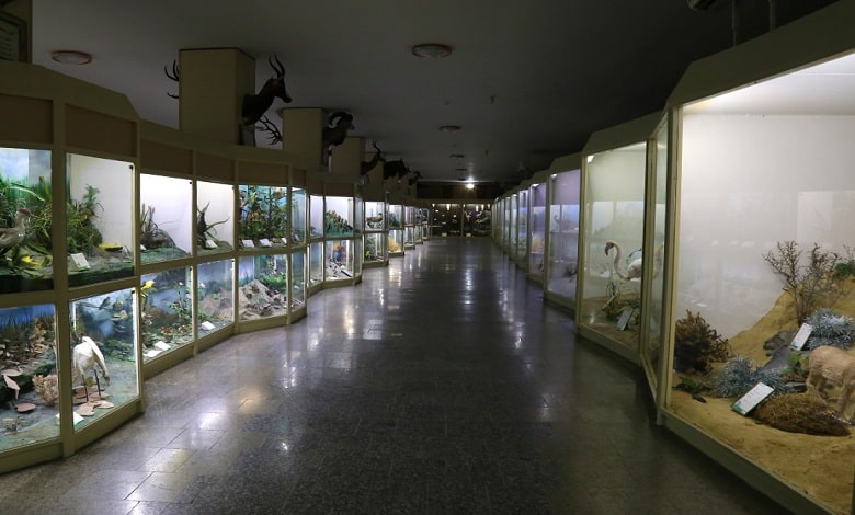 نکات بازدید از موزه تاریخ طبیعی همدان