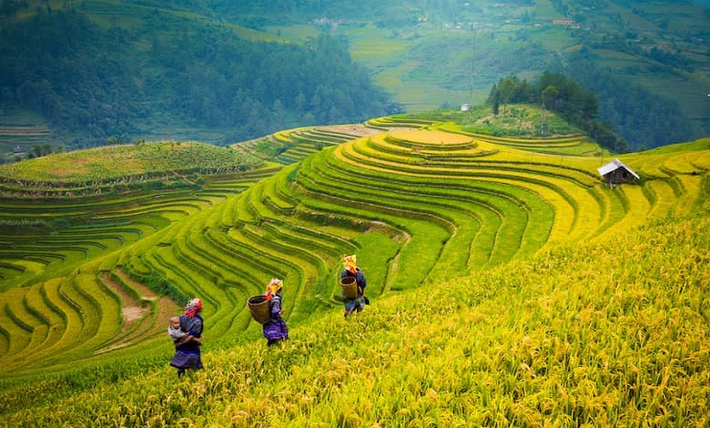 10 مورد از بهترین مکان های دیدنی ویتنام