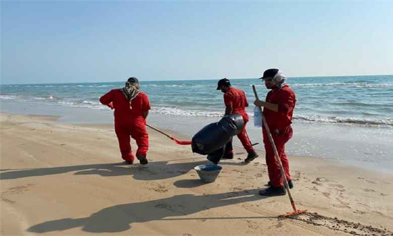 اجرای طرح پاکسازی ساحل بندر گناوه از آلاینده ها