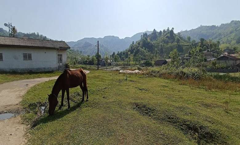 تنگه نارنج بن نوشهر کجاست؟