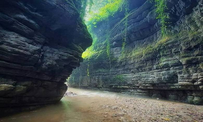 جاذبه های دیدنی تنگه نارنج بن نوشهر