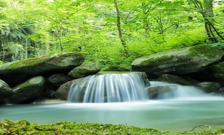 نکات بازدید از تنگه نارنج بن نوشهر