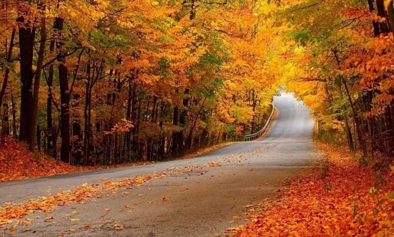 مخالفت دستگاه قضایی با اجرای طرح گردشگری النگدره