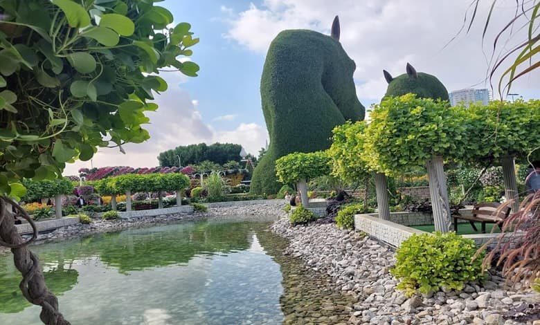 دیدنی‌های اطراف میراکل گاردن دبی