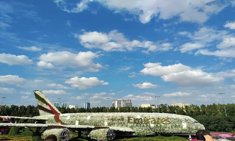 مجسمه‌ها در میراکل گاردن دبی