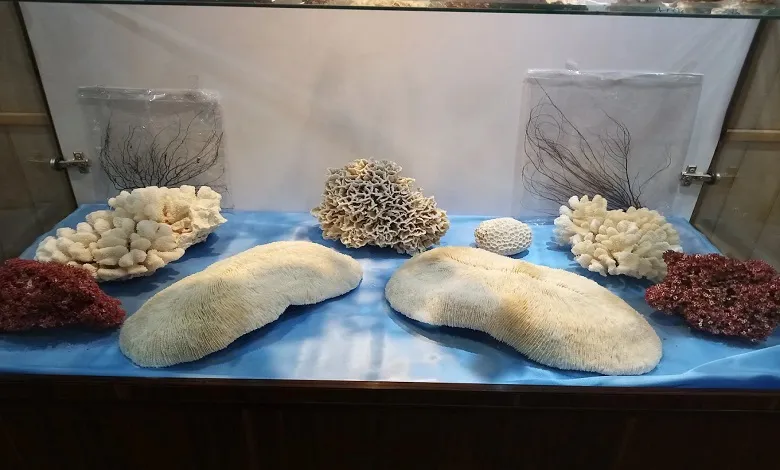 جاذبه های دیدنی اطراف موزه صدف اصفهان