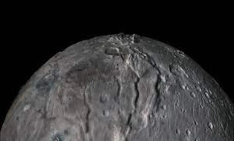 شارون فلایور از نیوهورایزنز