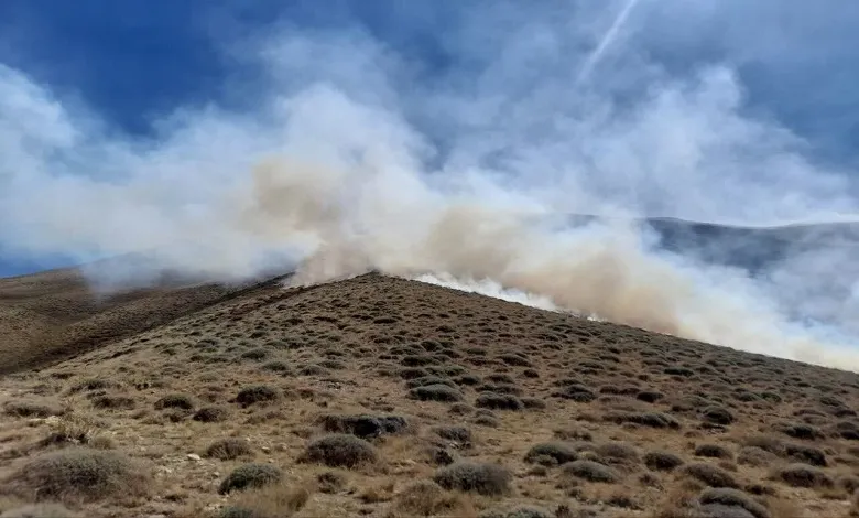 آتش سوزی در جنگل های ارتفاعات هماگ بندرعباس