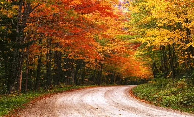 کوه های سبز (ورمونت)