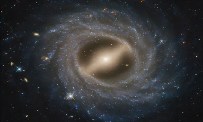 هابل این نمای رو به رو از NGC 5335 را گرفته است