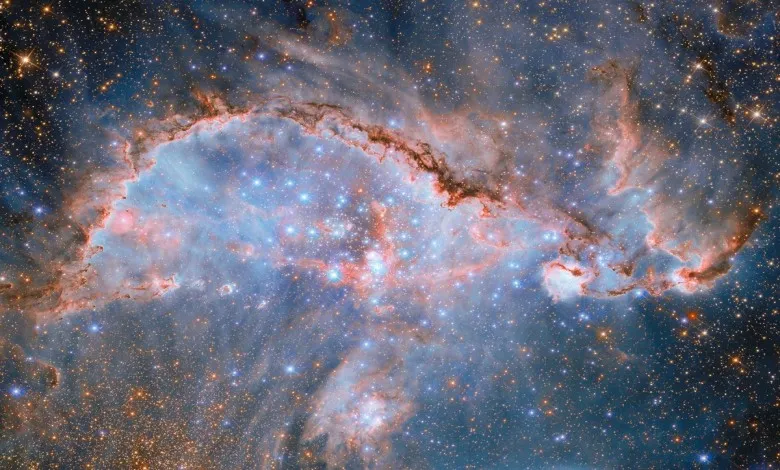 تصویر جدید NGC 346