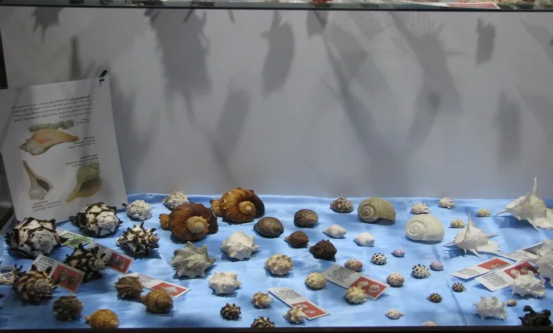 نکات بازدید از موزه صدف اصفهان