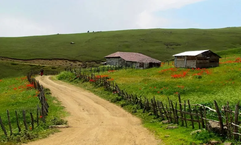 احتیاط‌های قبل از زدن به دل این جاده