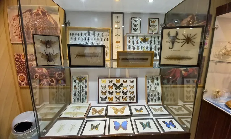 آثار موزه صدف اصفهان