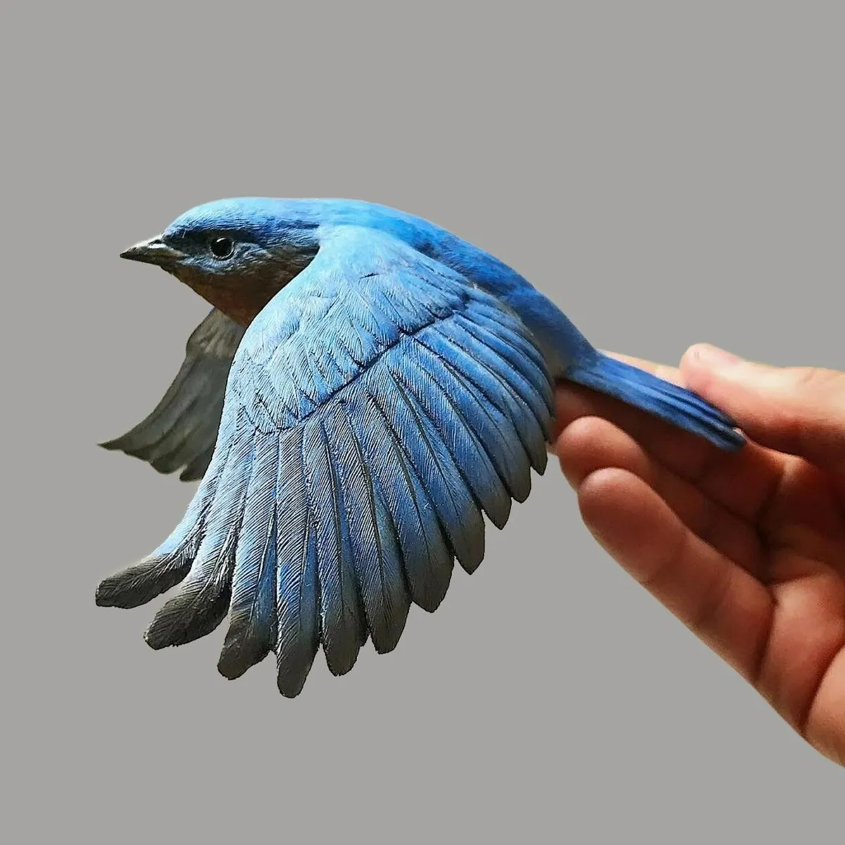 پرنده آبی چوبی در حال بال زدن