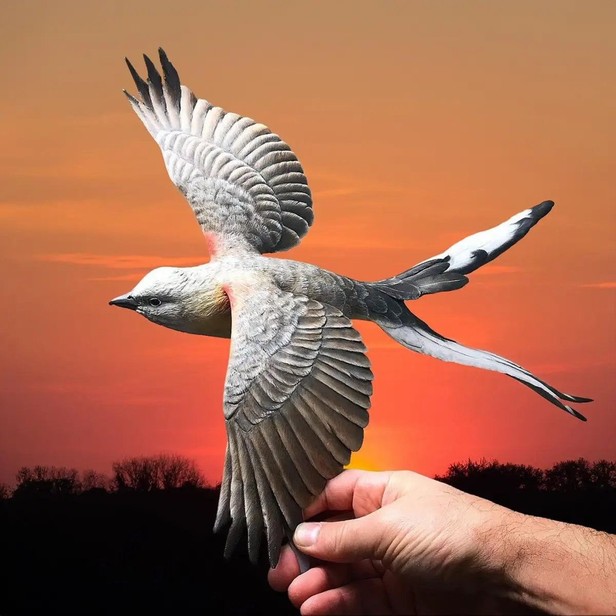 آثار چوبی کریس ویلسون