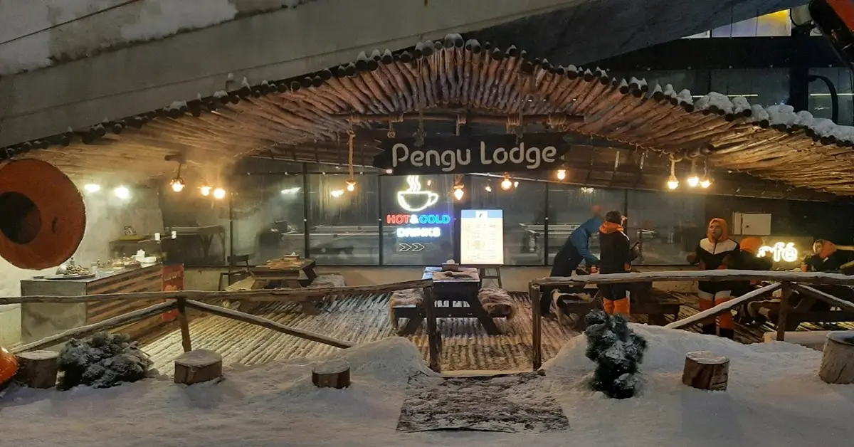پل و کافه معلق در پارک برفی پنگوئن